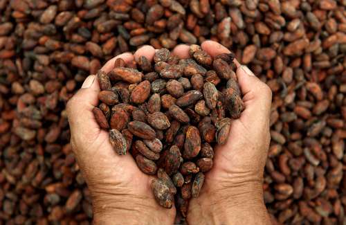 La mayoría de los agricultores del cacao son de países pobres.