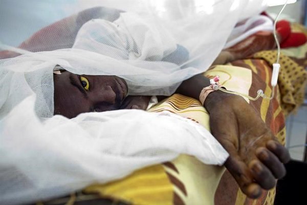 La Cruz Roja Internacional advirtió que las personas que viajen sin vacunas se arriesgan a transformar la epidemia de una crisis regional a una internacional.