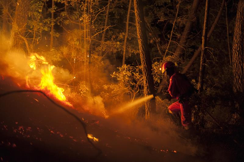 Los bomberos se encargan de las labores de extinción -por vía área y terrestre- en plena ola de calor en todo el país, una situación insólita para esta época del año.