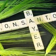 Adquisición telúrica de Monsanto por Bayer