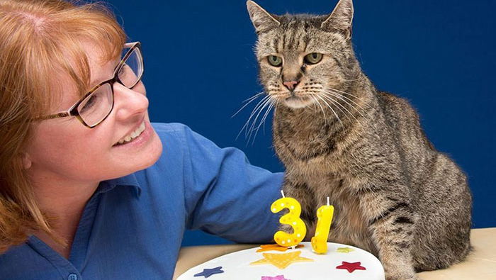 Este gato cumplió 141 años humanos.
