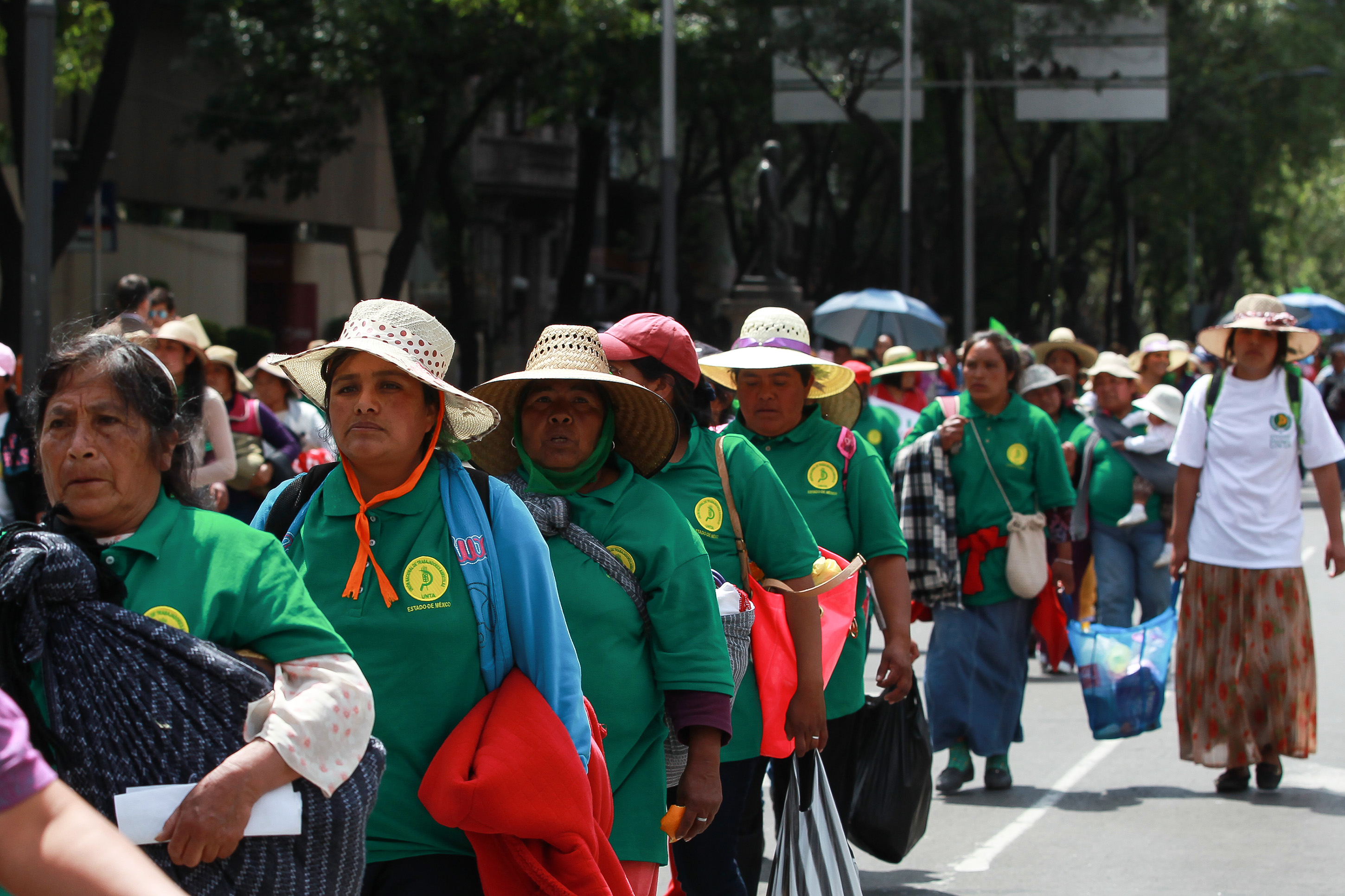 Procedentes de Ecatepec, Texcoco, Nezahualcóyolt, Jilotepec, Cuajemalpa y Xochimilco, las caravanas campesinas ingresaron a la Ciudad de México.