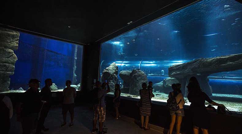 El acuario mantendrá de forma permanente el Museo de la Ciencia donde habrá exposiciciones sobre diversos temas relacionados con el medio ambiente.