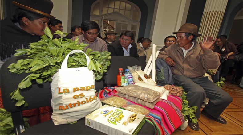 Gracias a las políticas sociales para reducir la pobreza extrema, Bolivia pasó de una tasa de 34 por ciento a 15,1 por ciento, reconocimiento que le ha otorgado la Organización de las Naciones Unidas para la Alimentación y la Agricultura (FAO por su sigla en inglés)   