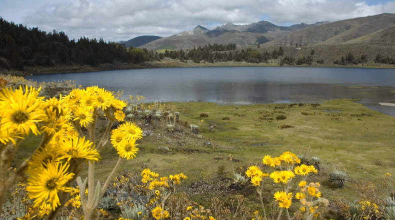 La Laguna de Mucubají es de origen glacial y tiene unos 10 mil años de antigüedad. Se encuentra ubicada en el Parque Nacional Sierra Nevada. La Sierra Nevada es un área de gran importancia ecológica para Venezuela.