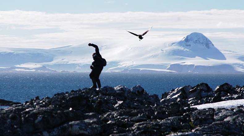  La Antártida es la reserva natural más grande del planeta, un laboratorio a cielo abierto.