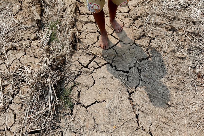 En Centroamérica 3,5 millones de personas padecerán de hambruna por la sequía ocasionada por el fenómeno El Niño.