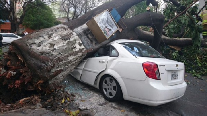 La tormenta ha azotado las últimas semanas a la ciudad de México