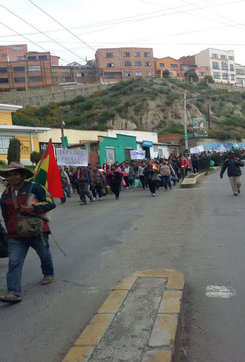 Centenares de cocaleros de los Yungas,  ubicada en el departamento de La Paz, recorren las calles para celebrar el Día del Acullico. 