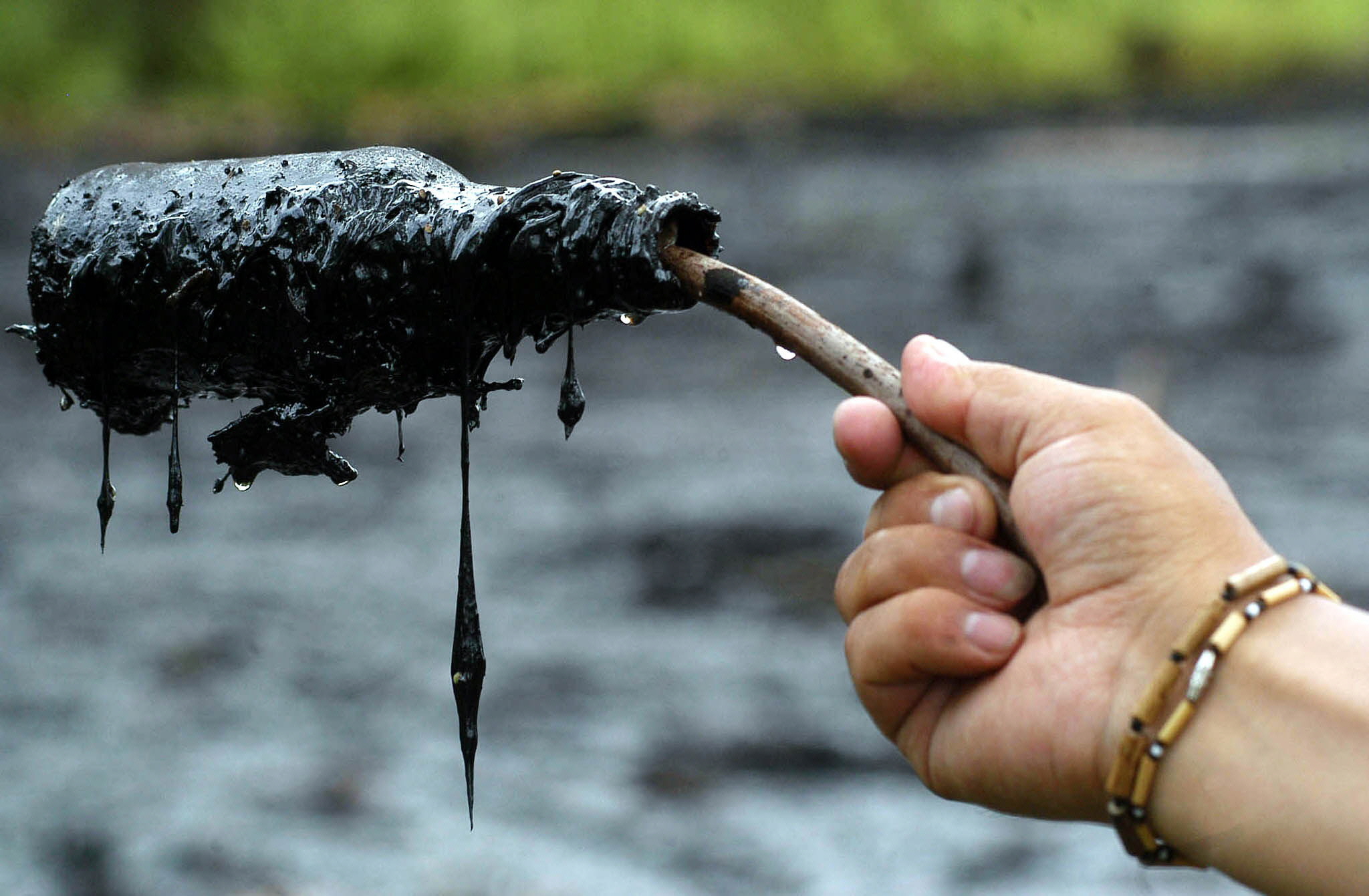 La petrolera estadounidense Chevron-Texaco operó 26 años en Ecuador donde dejó más de 30 mil personas y dos mil especies de la fauna afectadas por la contaminación.