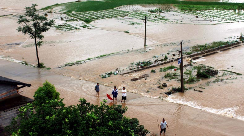 Las inundaciones en China ha afectado y destruido millones de cultivos. 