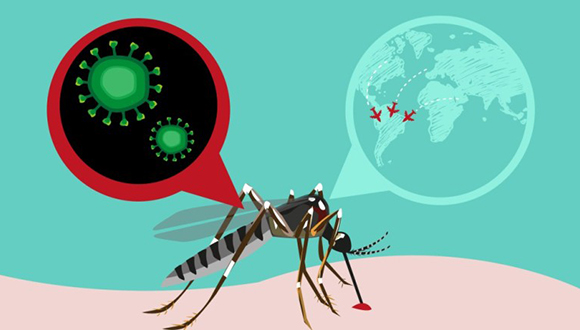 Nueva cita para trazar estrategias en la lucha contra el zika.