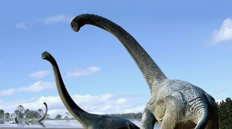 Cómo y cuándo llegaron estos y otros dinosaurios a tierras australianas es fuente de un debate que no está zanjado.