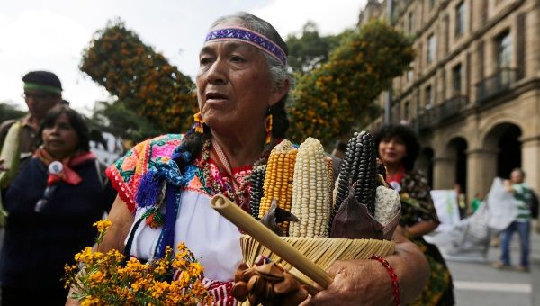 El sexto Festival del Maíz se organizó para recordar la importancia de este cultivo para México (Archivo)