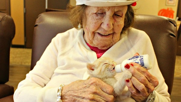 Los ancianos alimentan, socializan y abrazan a los gatitos y se benefician de esta actividad.