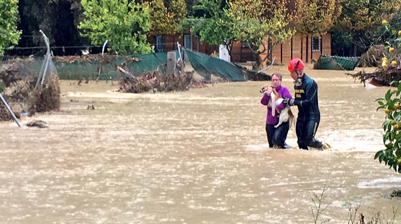 Numerosas personas han sido rescatadas tras el desbordamiento del río Guadalhorce en Cartama.