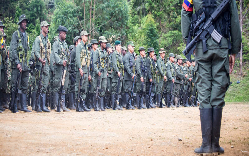 Las FARC-EP hicieron un llamado a la unidad para asegurar el triunfo de la paz.