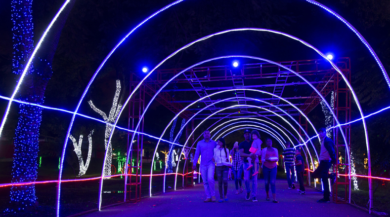 El "Parque de la Luz" en Santo Domingo es un parque temático de ambientación navideña, donde suena música alusiva a la Navidad.