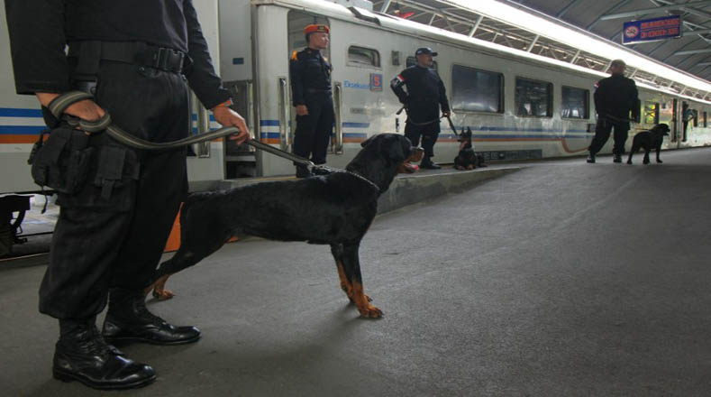 En la estación Gubeng, en Indonesia, las fuerzas de seguridad trabajan con perros policías.