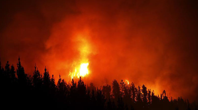 Incendios forestales consumen bosques de Chile