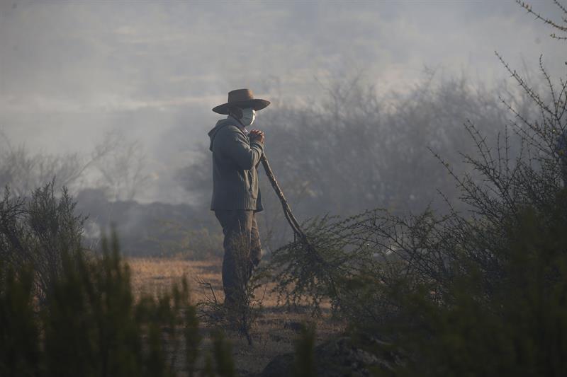 Un hombre observa el avance del fuego de un incendio forestal en la localidad de Hualañé, en la región chilena del Maule.