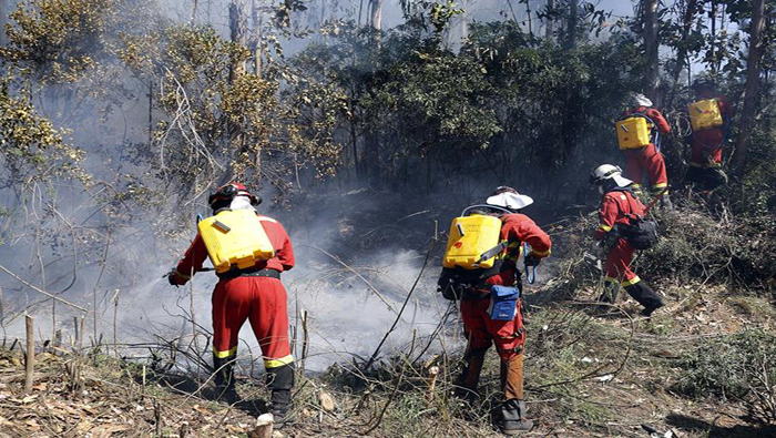 Los incendios forestales en Chile han dejado 11 fallecidos, 6.162 damnificados y otros daños.