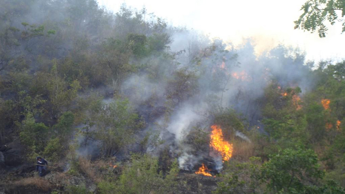 Antioquia es una zona sensible ante la irrupción y propagación de incendios forestales (foto referencial)