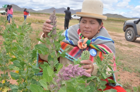 Bolivia innova con productos instantáneos de quinua en Alemania
