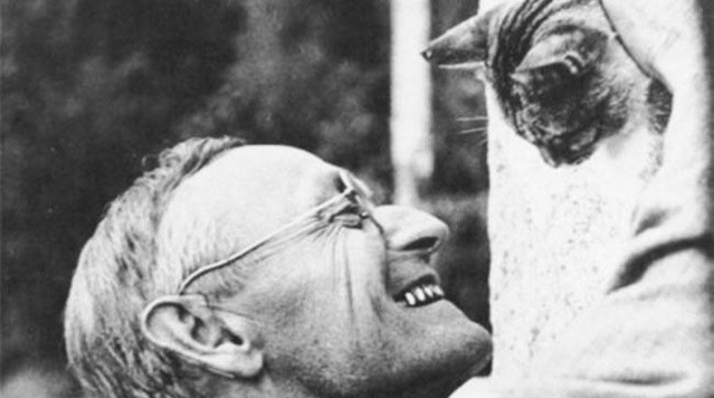 El premio Nobel de Literatura (1946) Hermann Hesse admiraba a los gatos. Algunos cuentan que Lowe era su favorito. 