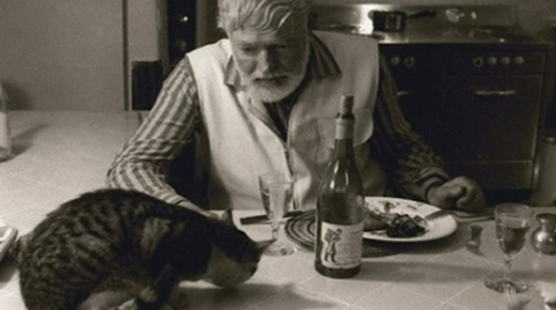 Ernest Hemingway tuvo una especial adoración por los gatos. Llegó a tener hasta 50 gatos en su finca de La Habana.