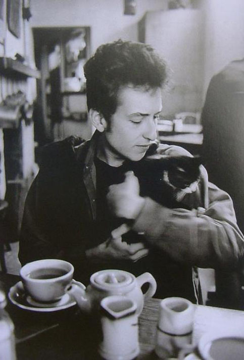 El ganador del premio Nobel de Literatura 2016, Bob Dylan, aparece en varias fotos acompañado de un gato. 
