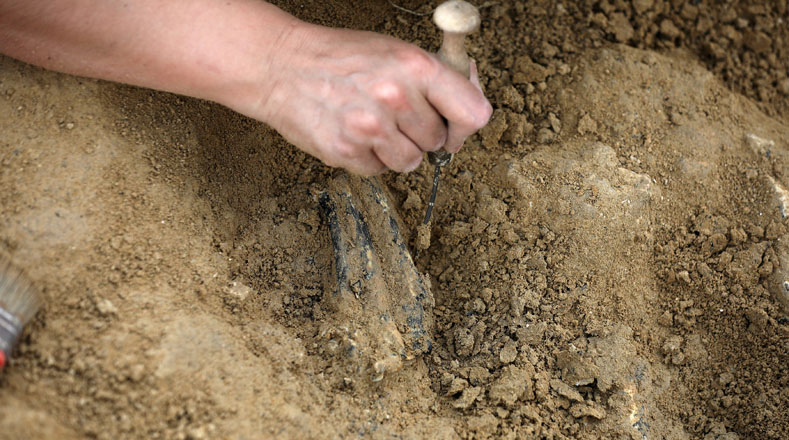 El profesor Spassov descubrió fósiles cerca del sitio donde un diente aislado de Graecopithecus freybergi fue encontrado en 2009