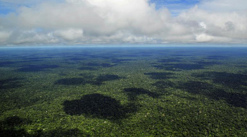 En la Amazonia suele llover mucho. La media de precipitación anual en toda la cuenca amazónica es de unos 2300 mm. 