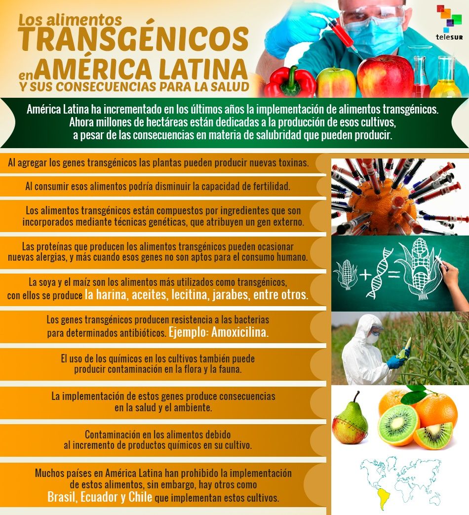 Los alimentos transgénicos en América Latina
