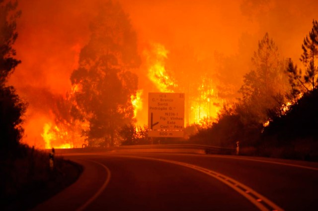 Portugal registra la catástrofe forestal más grande de los últimos años.