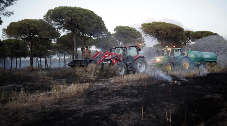 Más de dos decenas de vehículos terrestres y 25 medios aéreos trabajan en la extinción del fuego, que tiene varios focos activos, uno de los cuales es el que ha llegado al Parque Natural de Doñana.