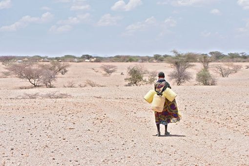 Unos 2,7 millones de personas actualmente están afectadas por la sequía en el Cuerno de África.
