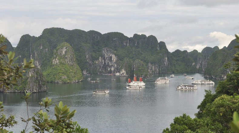 Los turistas que visitaron Vietnam provenían de Europa (15,8 por ciento) y de otros países de Asia (72,7 por ciento del total).