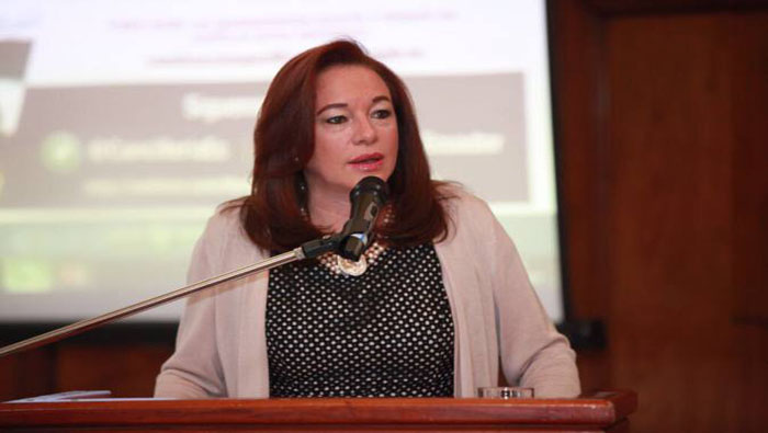La canciller ecuatoriana María Fernanda Espinosa respaldó la decisión del pueblo venezolano sobre el proceso constituyente, al tiempo que rechazó los intentos de injerencia de otras naciones sobre Venezuela.
