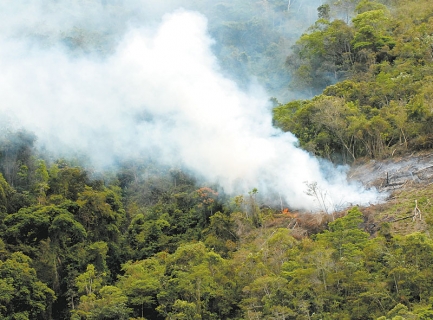 En lo que va de año se han registrado 17 incendios en el departamento de Cochabamba, 2.177 hectáreas han quedado destruidas.