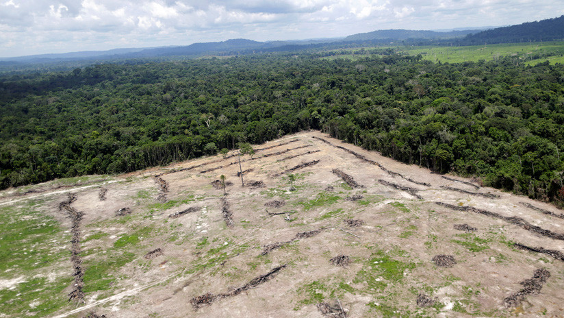El Instituto Nacional de Investigación Espacial brasileño certifica que la tala ha arrasado con 6.833 kilómetros cuadrados de bosque en el último año.