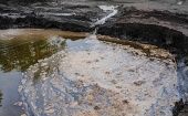 La Conaie aseguró que el derrame de petróleo se generó por daños en las tuberías de la empresa privada Crudos Pesados y la estatal Petroecuador. 