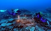  Hasta el momento, la Unesco registra que muy pocos científicos han podido localizar, investigar y estudiar los arrecifes de coral a más de 30 metros de profundidad. 