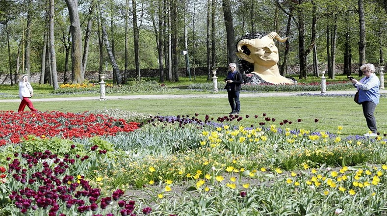 Esa nación europea es famosa en el mundo por el cultivo de especies florales como los tulipanes. 