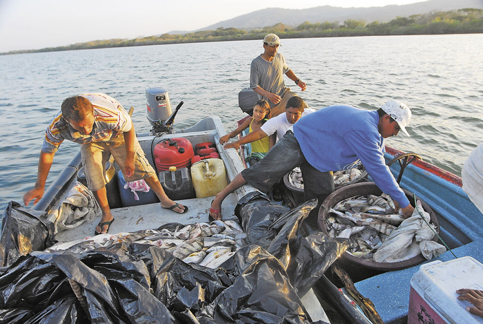 Buscan fortalecer la economía en el Golfo de Fonseca (Archivo)