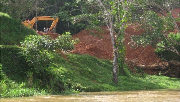 Los campesinos aseguran que las maquinarias se han encargado de remover la fauna natural que da oxígeno a millones de personas en Costa Rica. (Foto: Archivo).