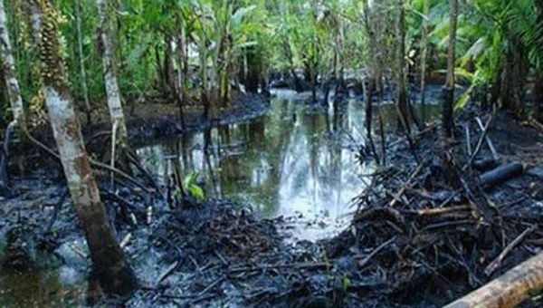 La justicia ecuatoriana condenó con el pago de nueve mil 500 millones de dólares a la petrolera norteamericana Chevron por los daños ambientales en la Amazonia entre 1964 y 1990 (Foto: Archivo)
