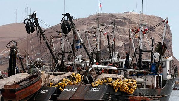 De acuerdo con el informe de la Subsecretaría de Pesca, la actividad ha mermado debido a la tortura de peces (Foto:ElEconomista.cl)