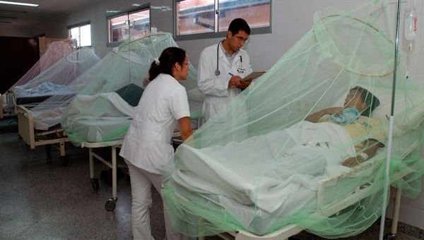 En enero un paraguayo murió por dengue, tras las 248 víctimas que dejó la enfermedad en 2013 (Foto:EFE)