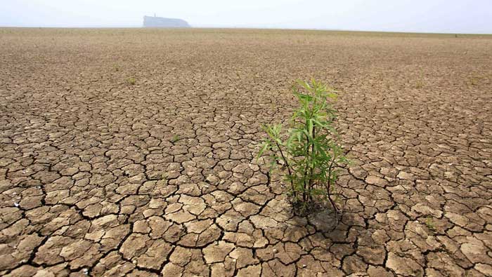 Autoridades del gobierno chino estiman que la temporada actual de sequía ha sido la más grave del país en los últimos 60 años (renovablesverdes)